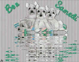 Gif animé Bon samedi chien